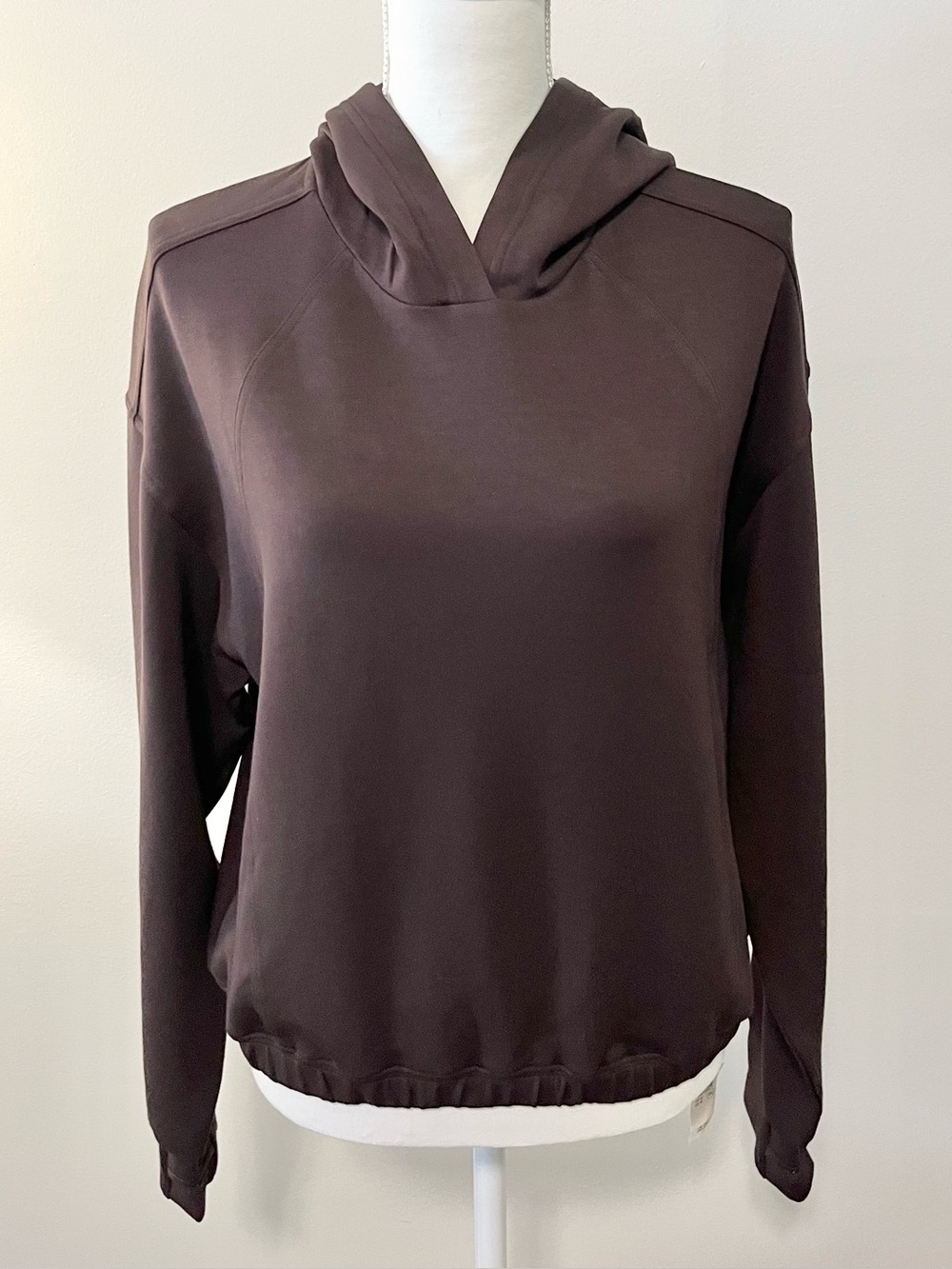 NWT Offline by Aerie Brown Cropped Hoodie Sweatshirt. Relaxed Fit. Size Medium